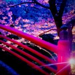 ブログイメージ